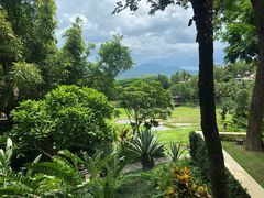 -四季酒店下午茶