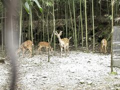 -鹿院坪生态旅游景区