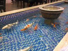 -盆满钵满·国家非遗传承(云台店)