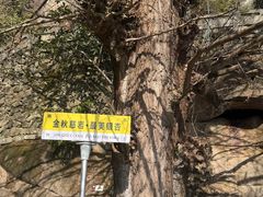 -大慈岩风景区