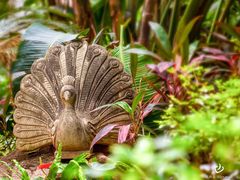 -厦门日月谷温泉渡假村