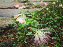 iphone_upload_pic-定园