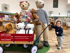 -济州岛泰迪熊博物馆