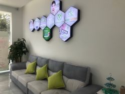 -莱可美科技美肤