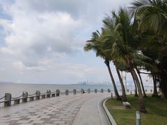 -深圳湾公园(南山区)