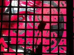 包子大王的窗户-包子大王(新泽巷店)