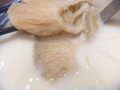 -凤城礼记鱼翅海鲜酒家(新马路总店)