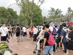 -野生动物园-停车场