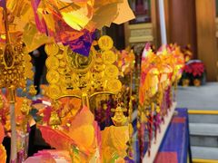 -越秀西湖花市(广州城市广场花卉店)