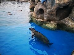 -华夏文旅海洋公园