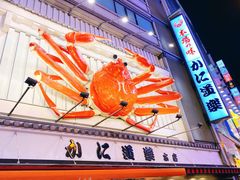 -蟹道乐(道顿堀本店)