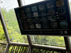 -福道