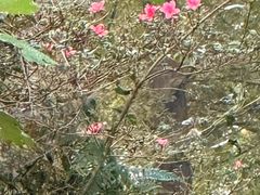 -东天目山风景区