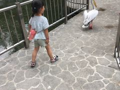 -吉隆坡雀鸟公园