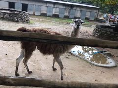 -西安秦岭野生动物园