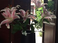 -苏州文旅花间堂·探花府酒店