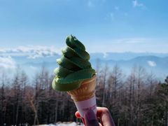 -富士山吉田線五合目