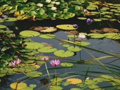 -国家植物园南园