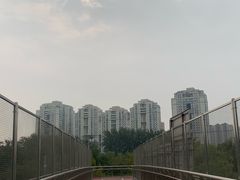 -后海公园