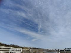 -春花秋色城市公园