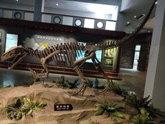 -自贡恐龙博物馆