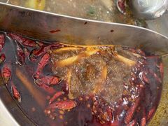 -金鼎雪山牦牛杂火锅(理县总店)