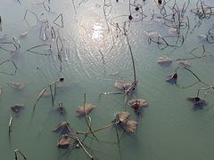 -尚贤河湿地