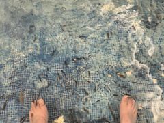 -东方之珠洗浴休闲广场(大港店)