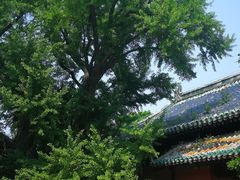 -大觉寺-停车场