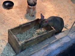 -Zoolung Zoolung动物主题公园(海信广场店)