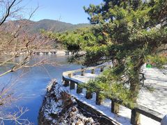 -庐山风景区花径公园