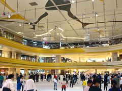 -冠军冰场CHAMPION RINK(苏州中心商场店)