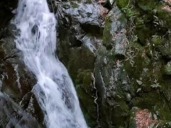 -藏龙百瀑风景区