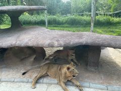 -北京野生动物园