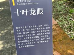 -碧江金楼