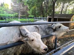 -长白岛森林公园