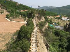 -铜川市金锁关石林