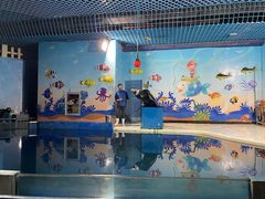 -太平洋海底世界