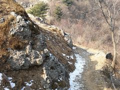 -北京鹫峰国家森林公园