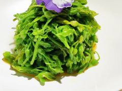 -安多素食(广仁寺路店)