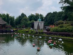 -云南民族村
