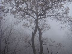 -藏龙百瀑风景区