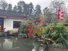 -柳侯公园