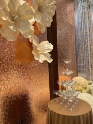 -DC大蔡婚礼策划(李公堤店)