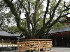 -热田神宫