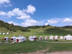 -关山草原