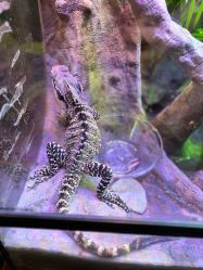 -酷嗒动物文化乐园(cutezoo西溪乐天城店)