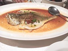 -维园悦谱·海派家常菜(乌鲁木齐南路店)