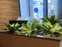 -新石器烤肉(高行万嘉店)