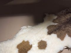 -柿子树炭烤羊腿(金台路店)